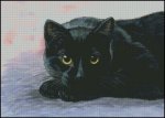 (image for) Golden Eyes - AM